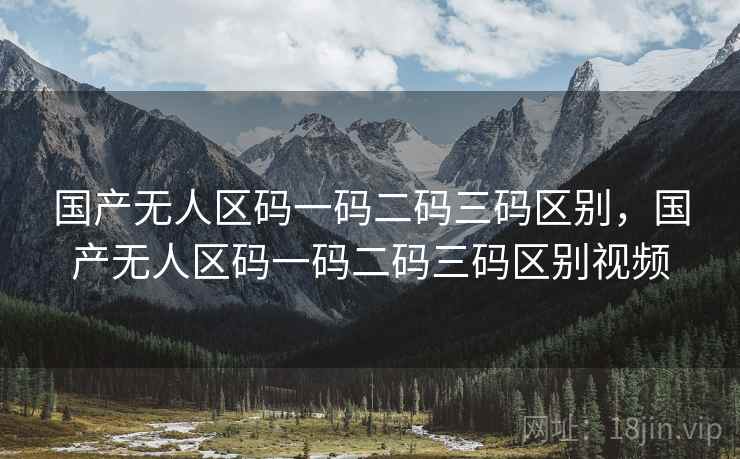 国产无人区码一码二码三码区别，国产无人区码一码二码三码区别视频