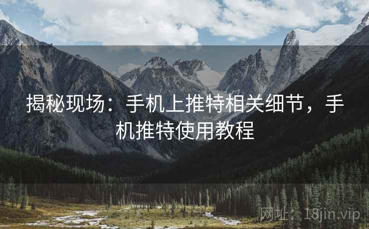 揭秘现场:手机上推特相关细节,手机推特使用教程 揭秘现场:手机上推特相关细节,手机推特使用教程