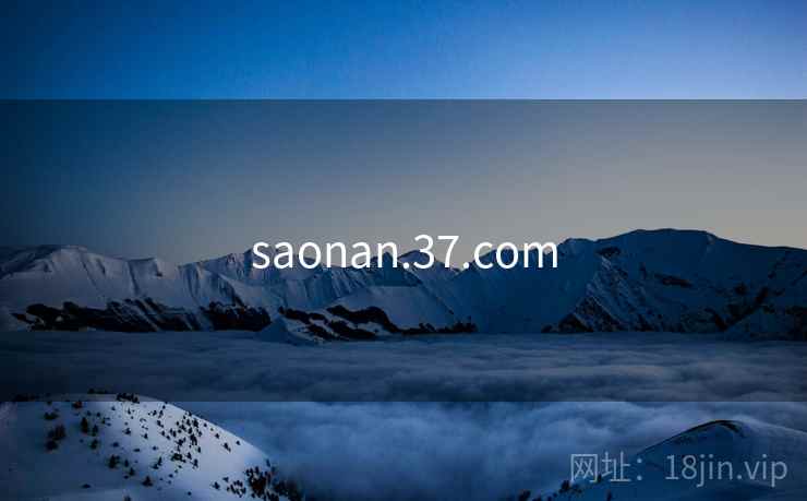 saonan.37.com