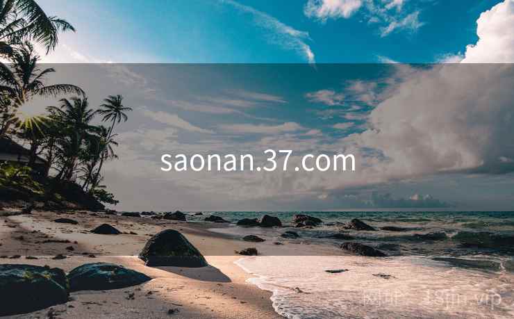saonan.37.com